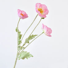 Load image into Gallery viewer, 43070498898110