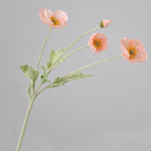 Load image into Gallery viewer, 43070498406590