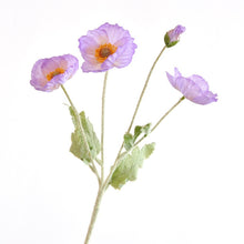 Load image into Gallery viewer, 43070498865342