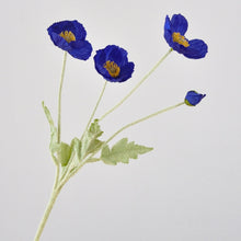 Load image into Gallery viewer, 43070498832574