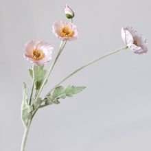 Load image into Gallery viewer, 43070498635966