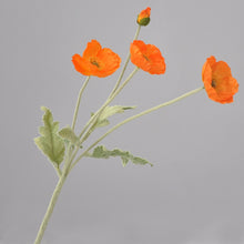 Load image into Gallery viewer, 43070498570430