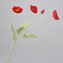 Load image into Gallery viewer, 43070498504894