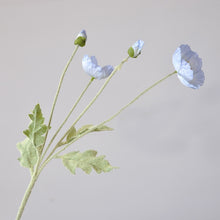 Load image into Gallery viewer, 43070498734270