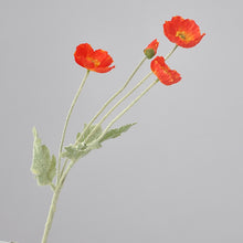 Load image into Gallery viewer, 43070498177214