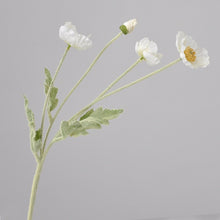 Load image into Gallery viewer, 43070498472126