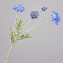 Load image into Gallery viewer, 43070498603198