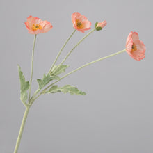 Load image into Gallery viewer, 43070498799806