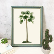 Load image into Gallery viewer, Vintage Tropical Palm Tree Print #1