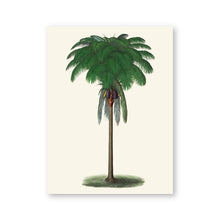 Load image into Gallery viewer, Vintage Tropical Palm Tree Print #2