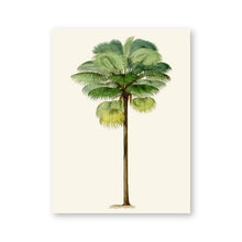 Load image into Gallery viewer, Vintage Tropical palm Tree Print #3