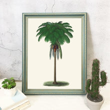 Load image into Gallery viewer, Vintage Tropical Palm Tree Print #2
