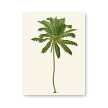 Load image into Gallery viewer, Vintage Tropical Palm Tree print #5