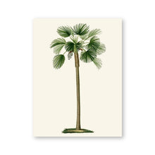 Load image into Gallery viewer, Vintage Tropical Palm Tree Print #1