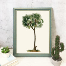 Load image into Gallery viewer, Vintage Tropical Palm Tree Print #6