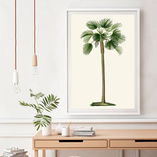 Load image into Gallery viewer, Vintage Tropical Palm Tree Print #1