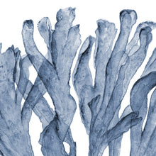 Load image into Gallery viewer, Blue Coral Print #4