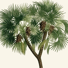 Load image into Gallery viewer, Vintage Tropical Palm Tree Print #6