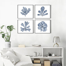 Load image into Gallery viewer, Blue Coral Print #9