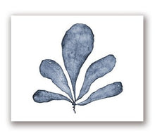 Load image into Gallery viewer, Blue Coral Print #7