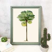 Load image into Gallery viewer, Vintage Tropical palm Tree Print #3