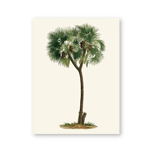 Load image into Gallery viewer, Vintage Tropical Palm Tree Print #6