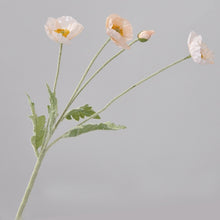 Load image into Gallery viewer, 43070498308286
