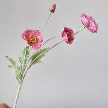 Load image into Gallery viewer, 43070498767038
