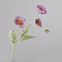 Load image into Gallery viewer, 43070498701502
