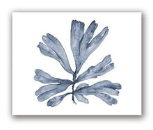 Load image into Gallery viewer, Blue Coral Print #8
