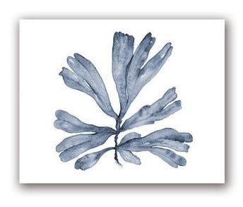 Blue Coral Print #8