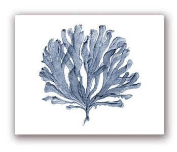 Blue Coral Print #4