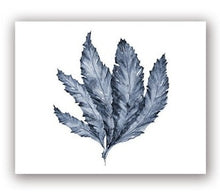 Load image into Gallery viewer, Blue Coral Print #5

