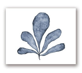 Blue Coral Print #7